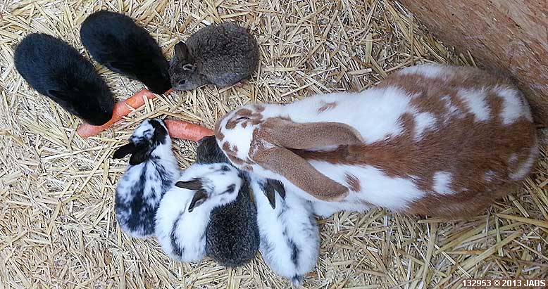 Ostern mit Kindern